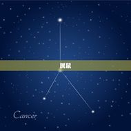 属猪今日运势十二星座(幸运之星闪耀财运亨通)