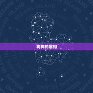 狗配的属相是什么(介绍狗狗姻缘的星座)