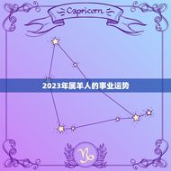属羊2023运势周易(未来三年运势大介绍)