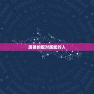 属猴的和什么相属最配(十二生肖中最聪明的猴子最适合和哪些生肖组成CP)