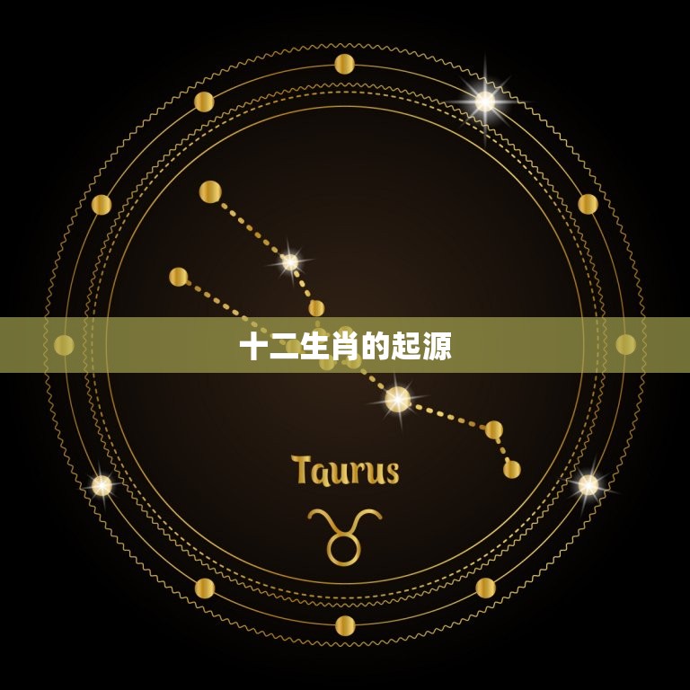 巧记十二生肖记忆口诀(掌握十二生肖)