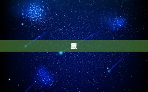 搜一下十二生肖的排序(十二生肖排名大介绍)