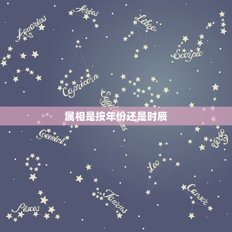 属相是按年份还是时辰(如何确定你的生肖)