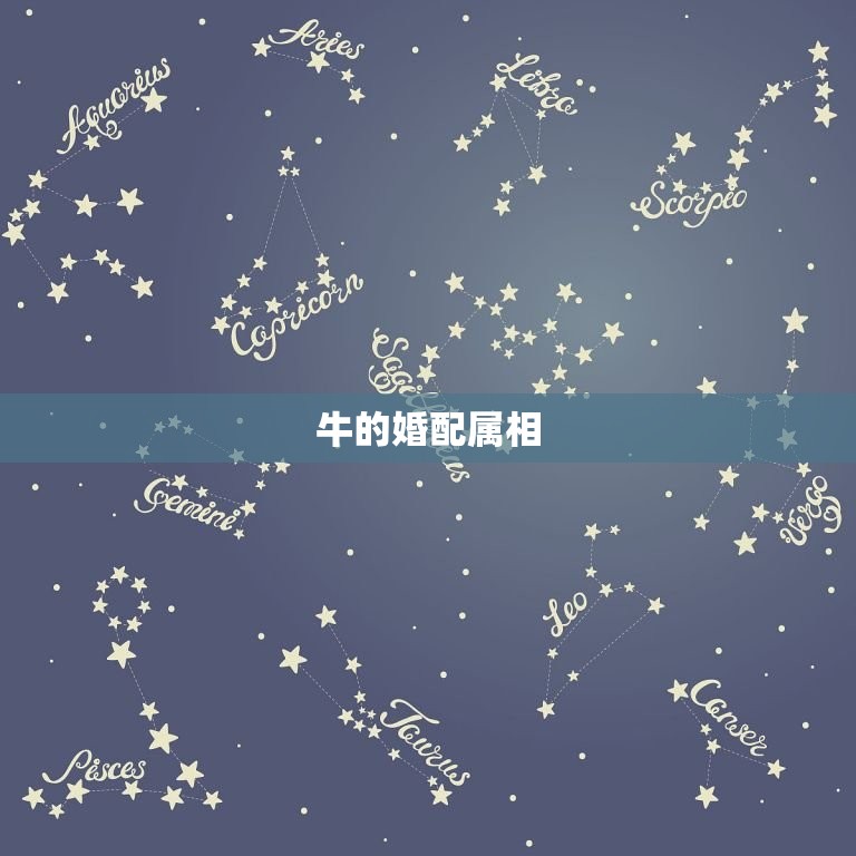 十二生肖牛的婚配属相(配对大介绍)