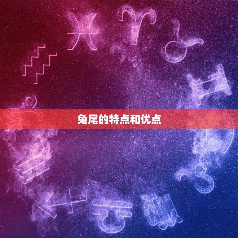 生个兔尾好还是龙头好(如何选择宠物龙头或兔尾)