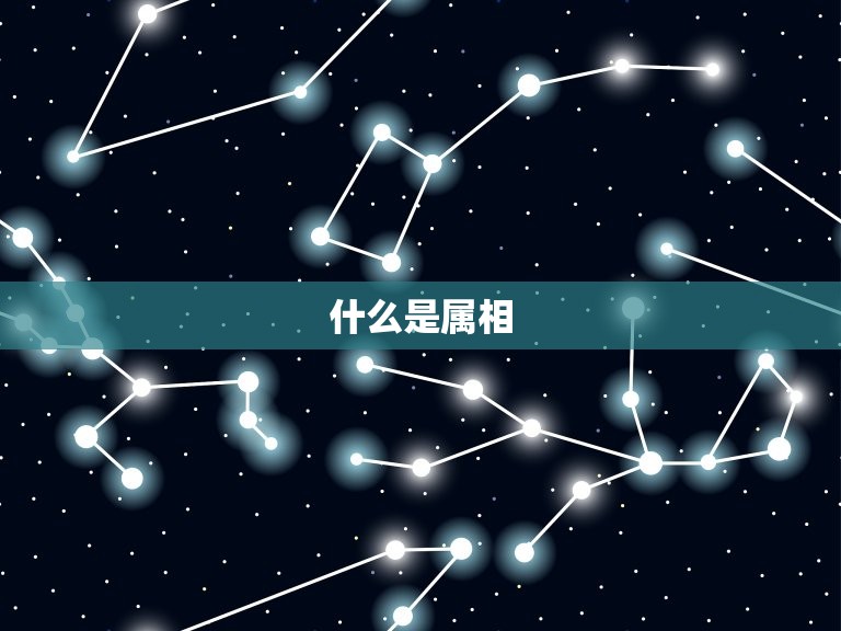 年月日生肖对照表属相(详解如何查询自己的属相)