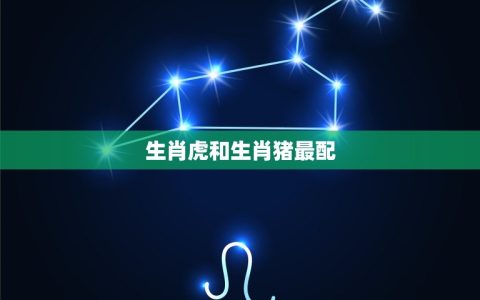 生肖虎和什么生肖最配(配对大介绍)