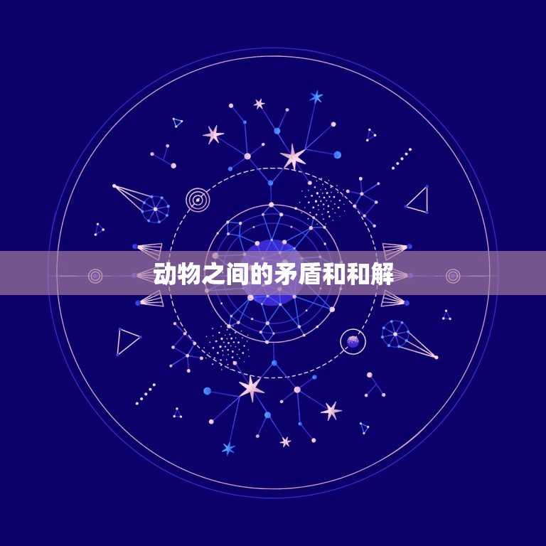 鼠和牛为什么老是吵架(介绍动物之间的矛盾与和解)