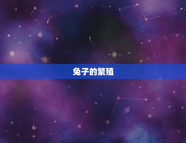 兔的繁殖一年能生多少(了解兔子的繁殖掌握养殖方法)