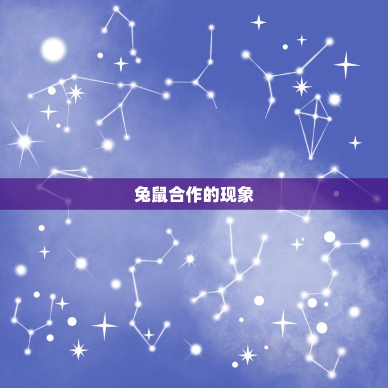 兔鼠合作(生意合不合财)