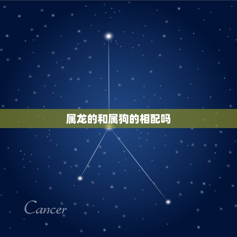 属龙的和属狗的相配吗(龙狗配还是不配)