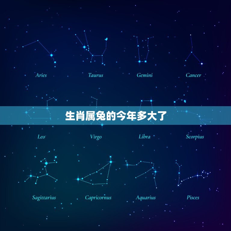 生肖属兔的今年多大了(2023年属兔人的年龄计算方法)