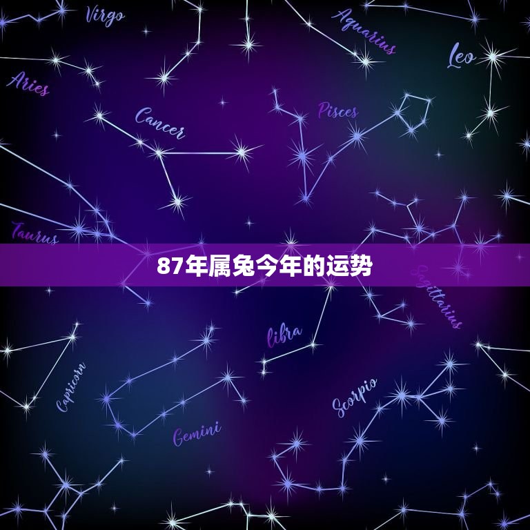 87年属兔今年的运势(兔子们财运旺盛感情顺利)