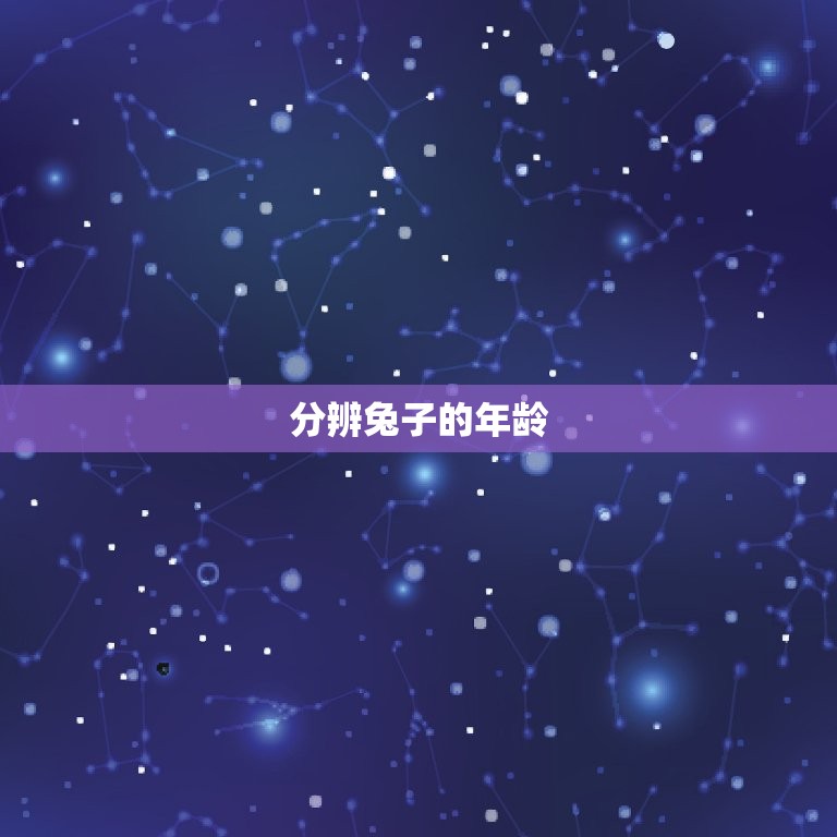 兔子怎么认识公母幼兔(如何分辨兔子的性别和年龄)