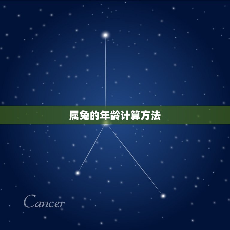 属兔的今年是多大年龄(2023年属兔人的年龄是多少)