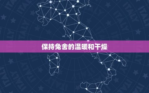 12月出生的兔好不好(冬季兔子养护指南)