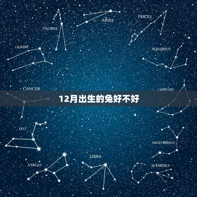 12月出生的兔好不好(冬季兔子养护指南)