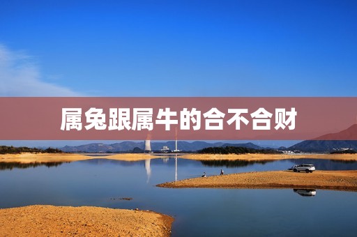 屬兔跟屬牛的合不合財(cái)(誰更適合做生意) 第3張
