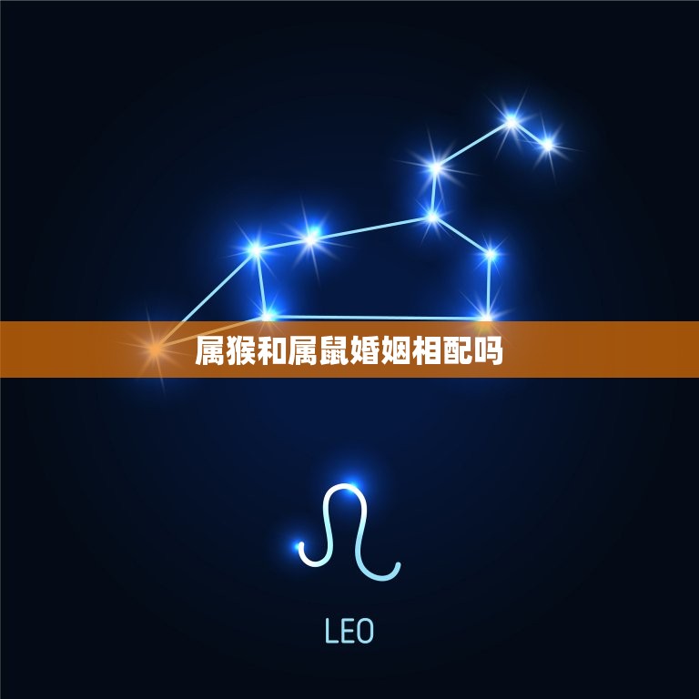 属猴和属鼠婚姻相配吗(介绍属猴和属鼠的婚姻缘分)