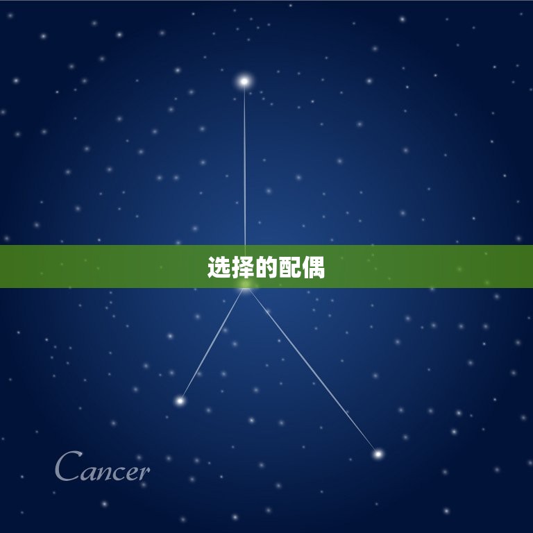 兔子婚配要找哪个生肖(如何选择配偶)