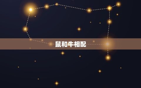 鼠和什么生肖相配相冲(生肖配对大介绍)
