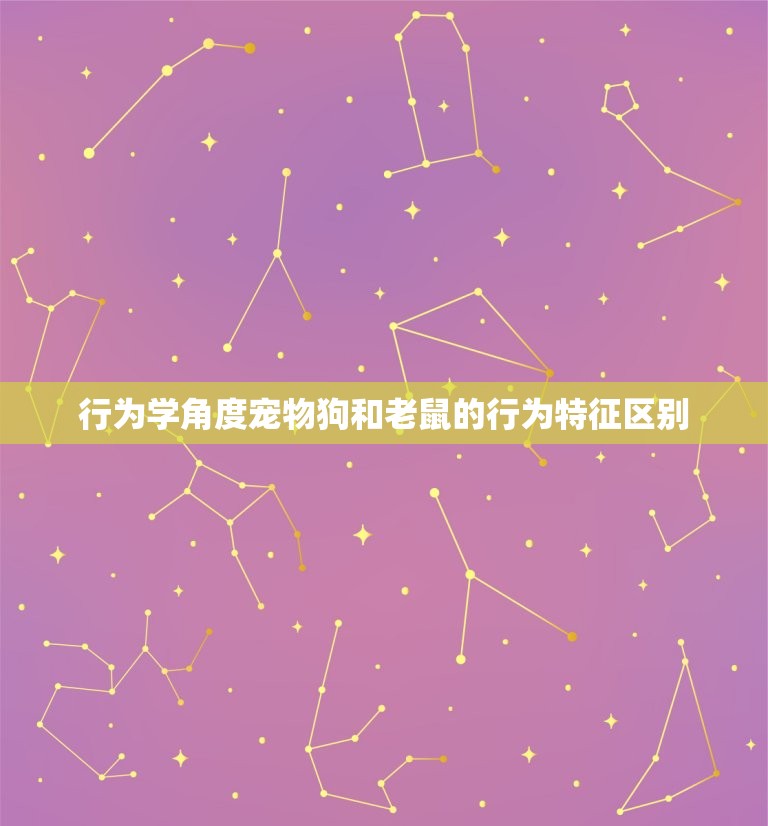 鼠和狗在一起对谁不利(为什么你的宠物狗不能和老鼠共处)