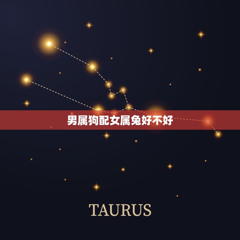 男属狗配女属兔好不好(如何看待这对星座组合)