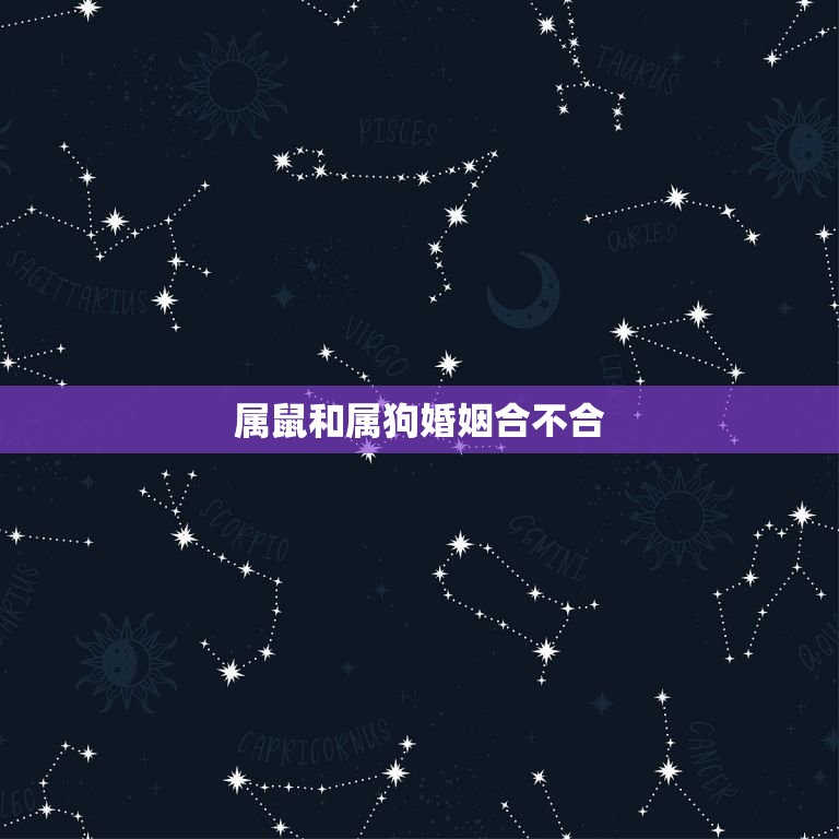 属鼠和属狗婚姻合不合(星座配对分析)