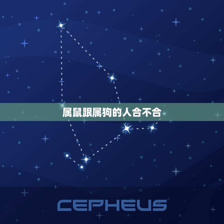 属鼠跟属狗的人合不合(星座配对大介绍)