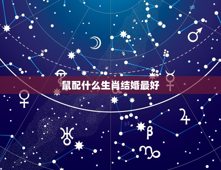 鼠配什么生肖结婚(如何选择婚姻伴侣)