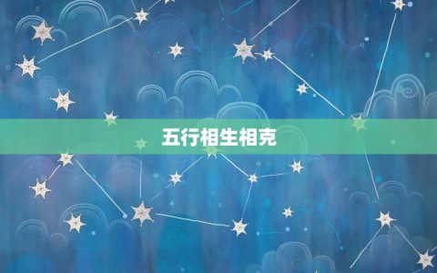 属鼠的人和属龙的配吗(如何解读这种组合)