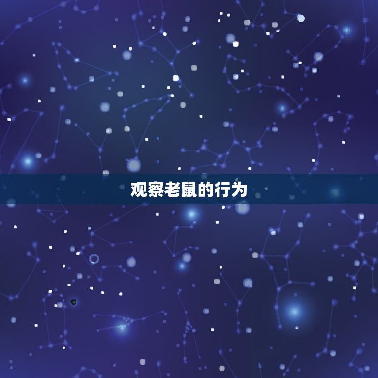 屋里有老鼠怎么找出来(快速有效的方法)