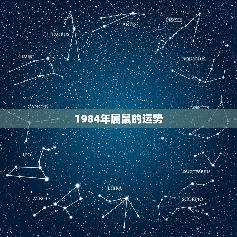1984年属鼠的运势(事业顺遂财运亨通)