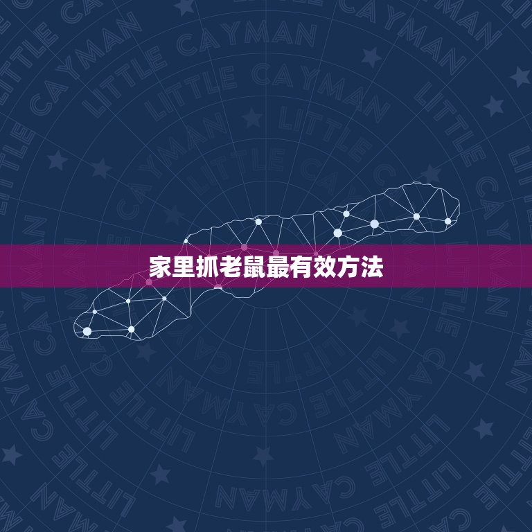 家里抓老鼠最有效方法(如何快速有效地解决老鼠问题)