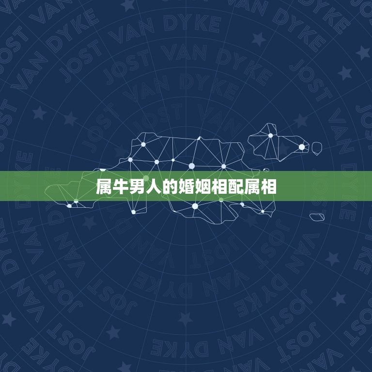 属牛男人婚姻相配属相(搭档大介绍)