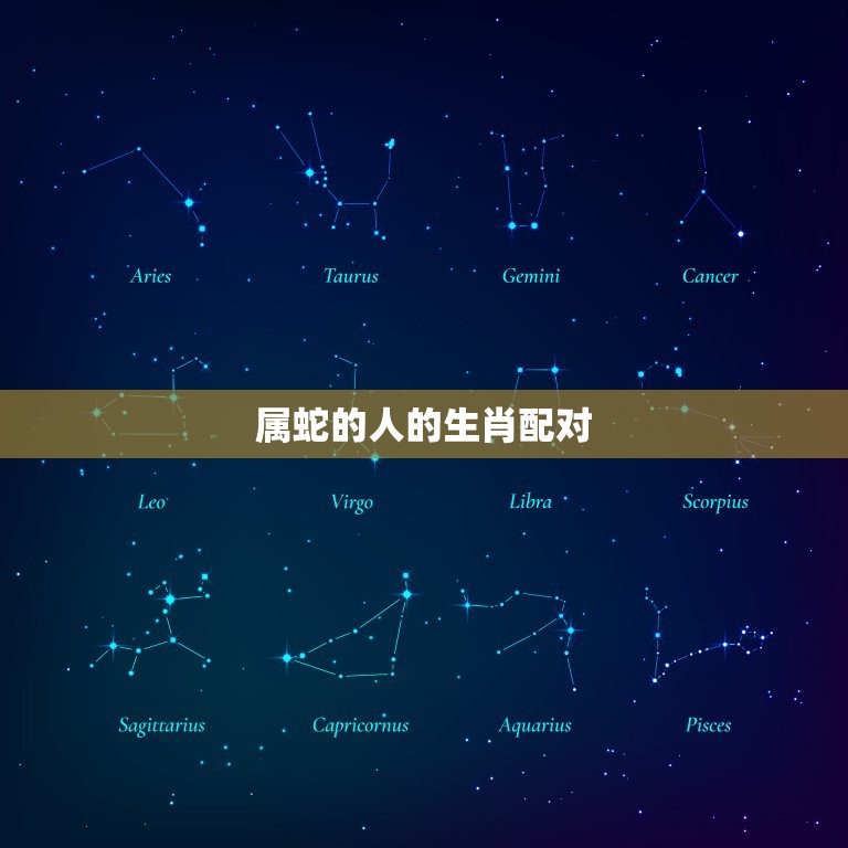 属蛇的和啥属相最配对(十二生肖配对大介绍)