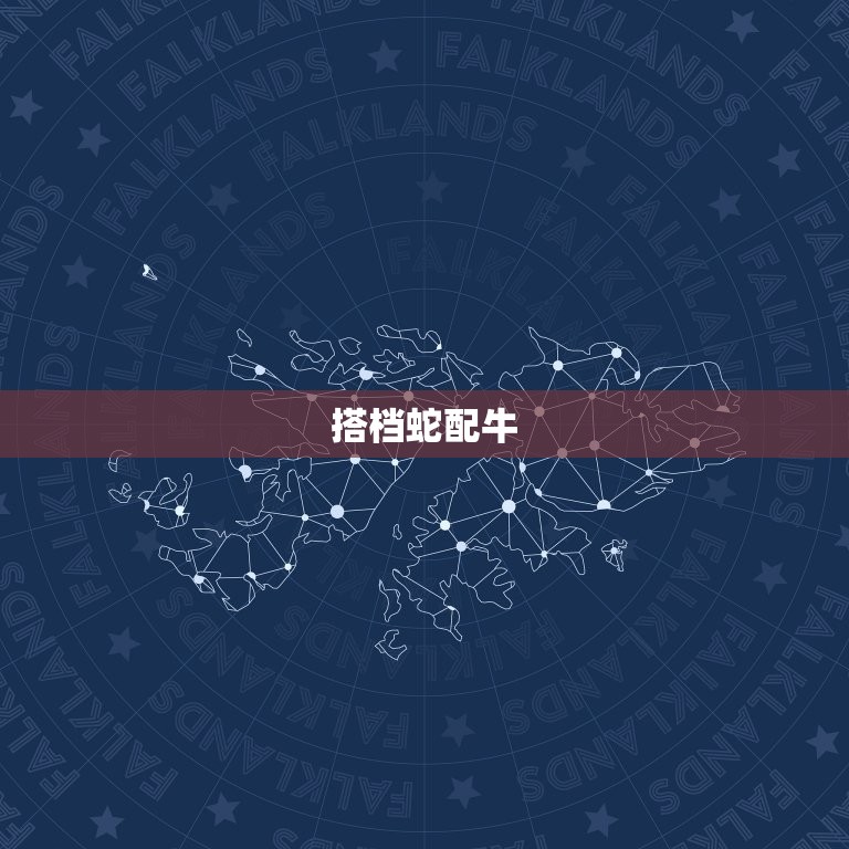 蛇配什么生肖财运(介绍搭档财富滚滚来)