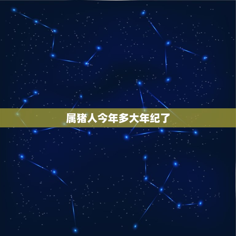 属猪的今年多大年纪了(猪年运势大介绍财运亨通事业顺利)