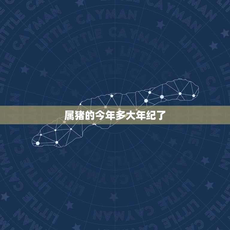 属猪的今年多大年纪了(猪年运势大介绍财运亨通事业顺利)