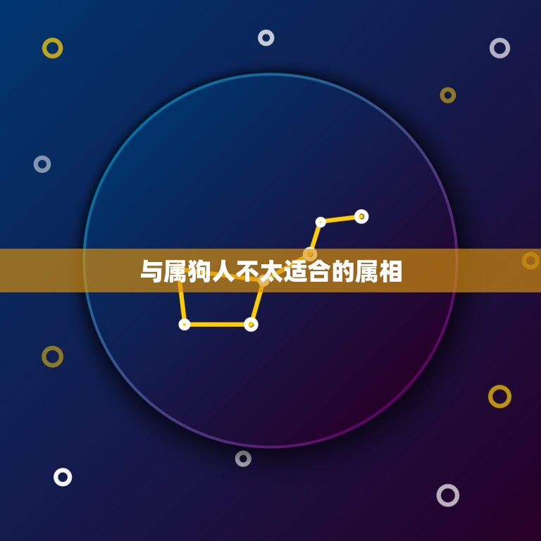 属狗人的婚配属相(找到你的伴侣)