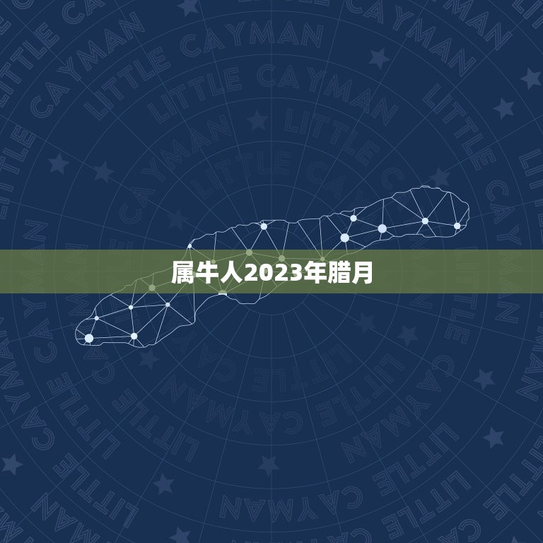 属牛人2023年腊月(运势大介绍)