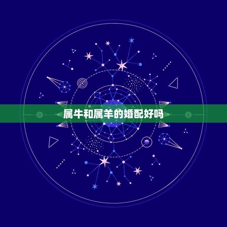 属牛和属羊的婚配好吗(星座专家介绍)