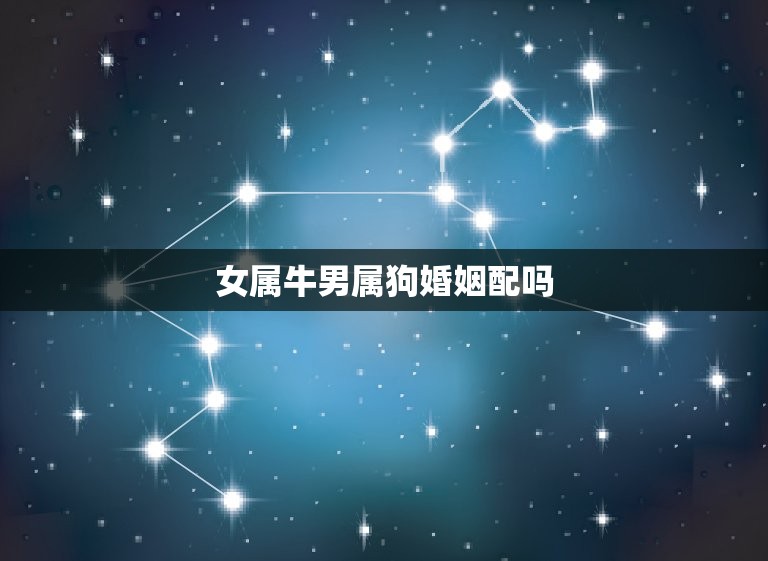 女属牛男属狗婚姻配吗(星座专家解读)