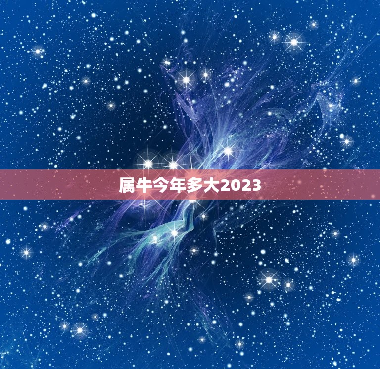 属牛今年多大2023(猪年过去了牛年来临你的年龄又增长了吗)