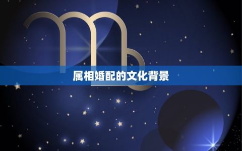 十二属相婚配对的数字(介绍你和TA的组合)