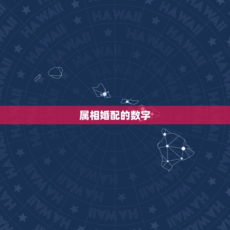 十二属相婚配对的数字(介绍你和TA的组合)