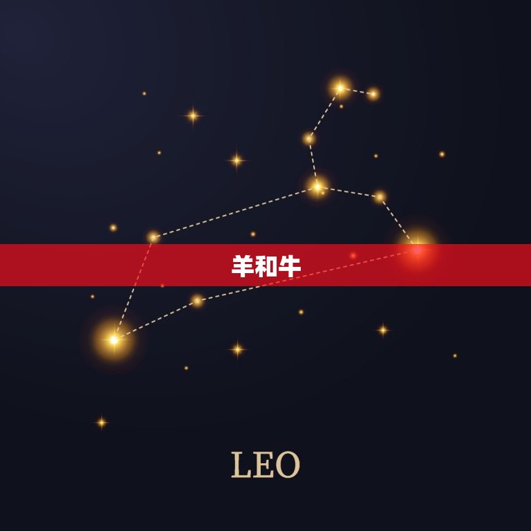 羊和什么生肖最合得来(搭档大介绍)