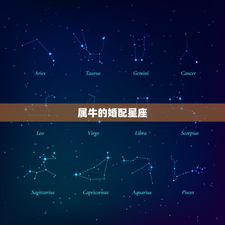 属牛的和什么婚配(婚配星座大介绍)