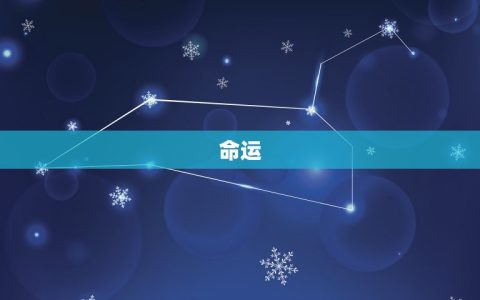 78年属马的是什么年(解读属马人的命运与特质)