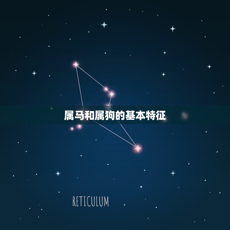 属马和属狗缘分有多深(介绍命中注定还是需要努力)